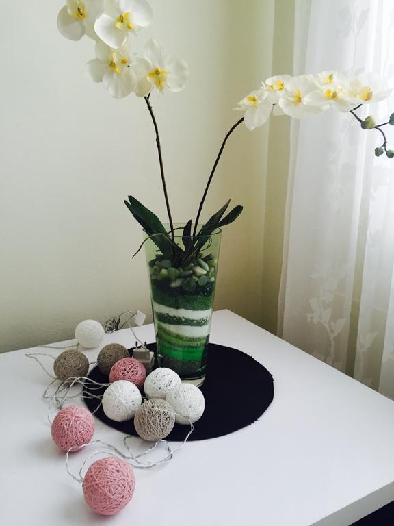 Guesthouse Villa Diana 马卡尔斯卡 外观 照片